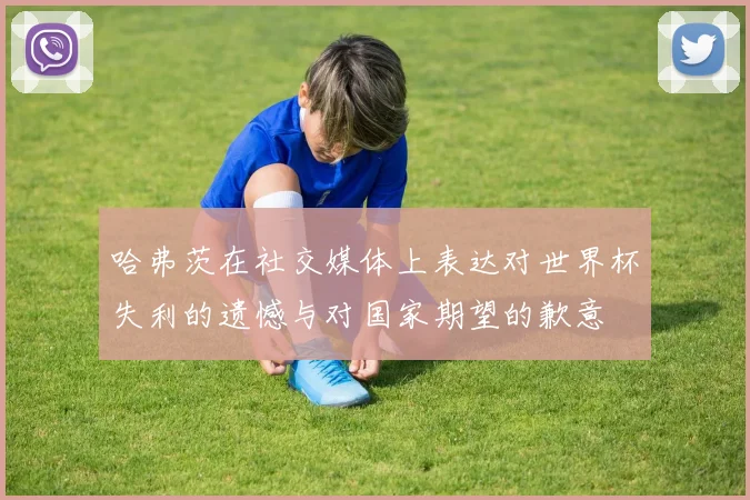 哈弗茨在社交媒体上表达对世界杯失利的遗憾与对国家期望的歉意