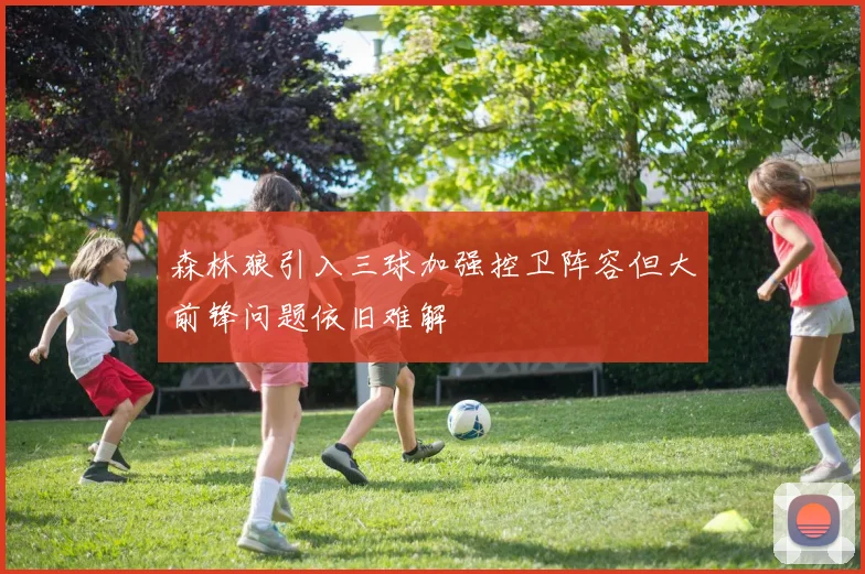 森林狼引入三球加强控卫阵容但大前锋问题依旧难解