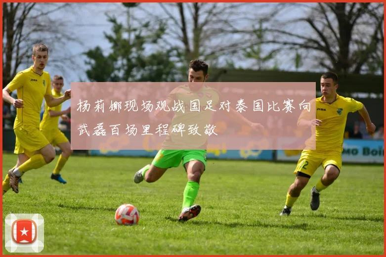 杨莉娜现场观战国足对泰国比赛向武磊百场里程碑致敬