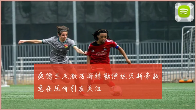 桑德兰未激活海特勒伊达买断条款意在压价引发关注