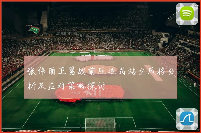张伟丽卫冕战前压迫式站立风格分析及应对策略探讨