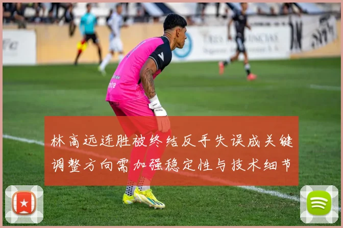 林高远连胜被终结反手失误成关键调整方向需加强稳定性与技术细节